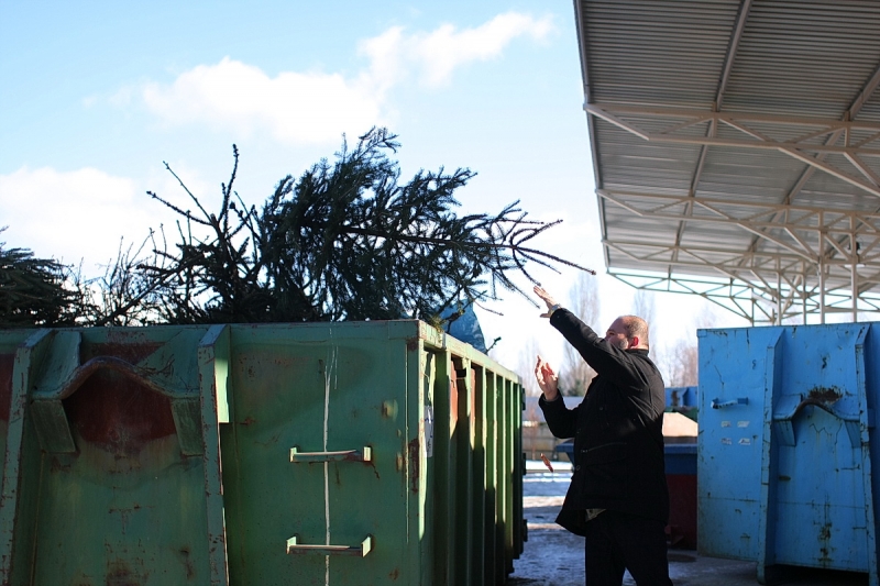 Karácsonyfagyűjtő akció