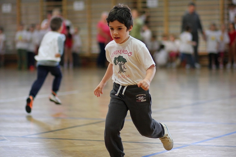 Ovis sorversenyek a Bemben