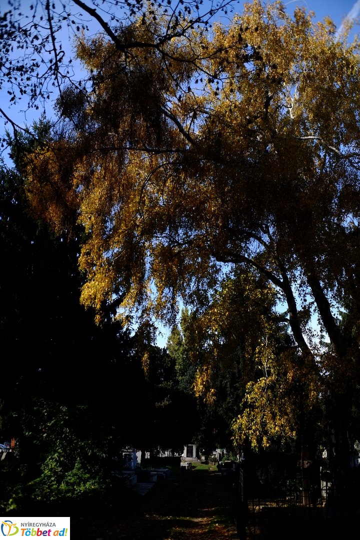 1956-os emlékező koszorúzások az északi temetőben - 2025