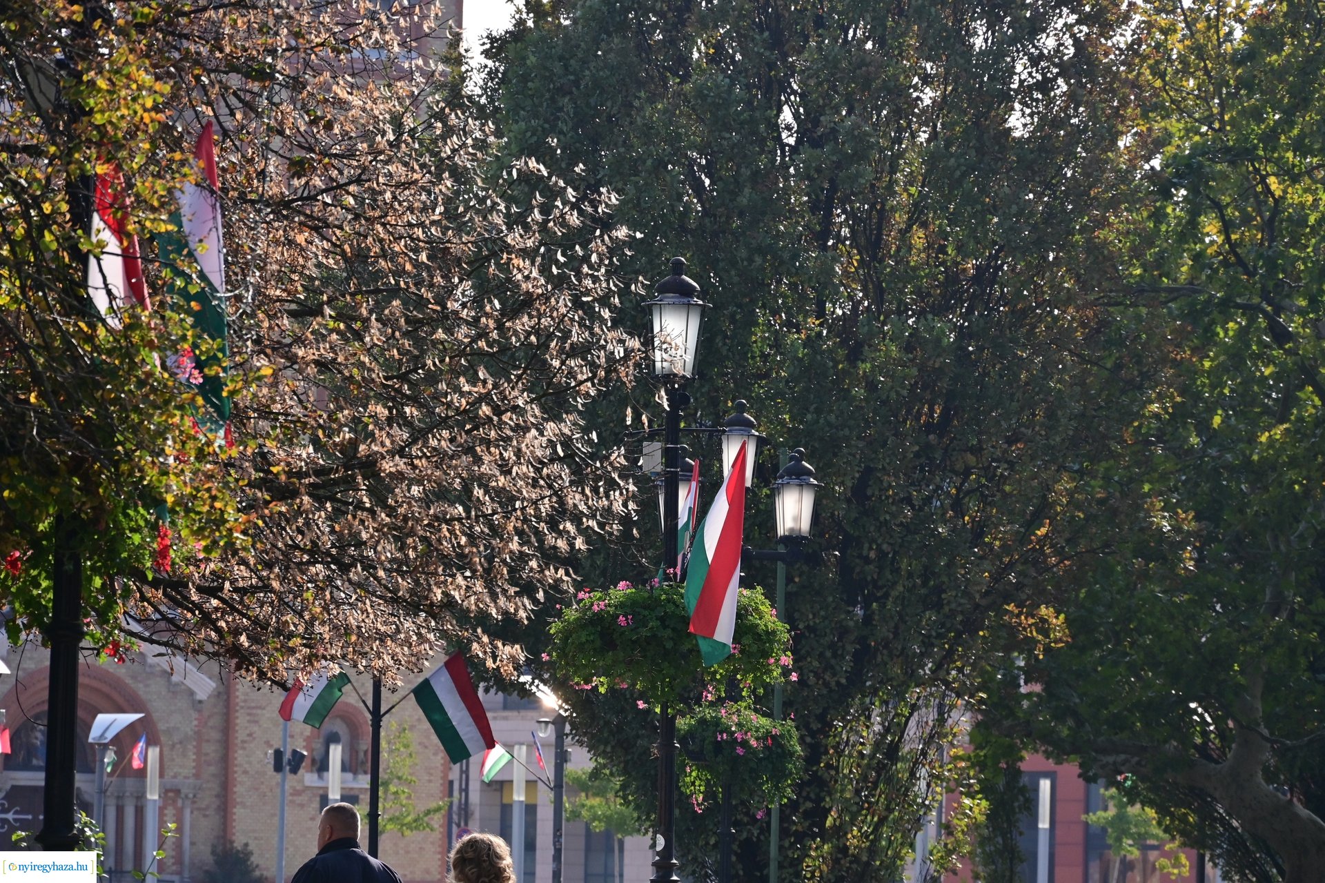 1956-ra emlékezünk  -  2024