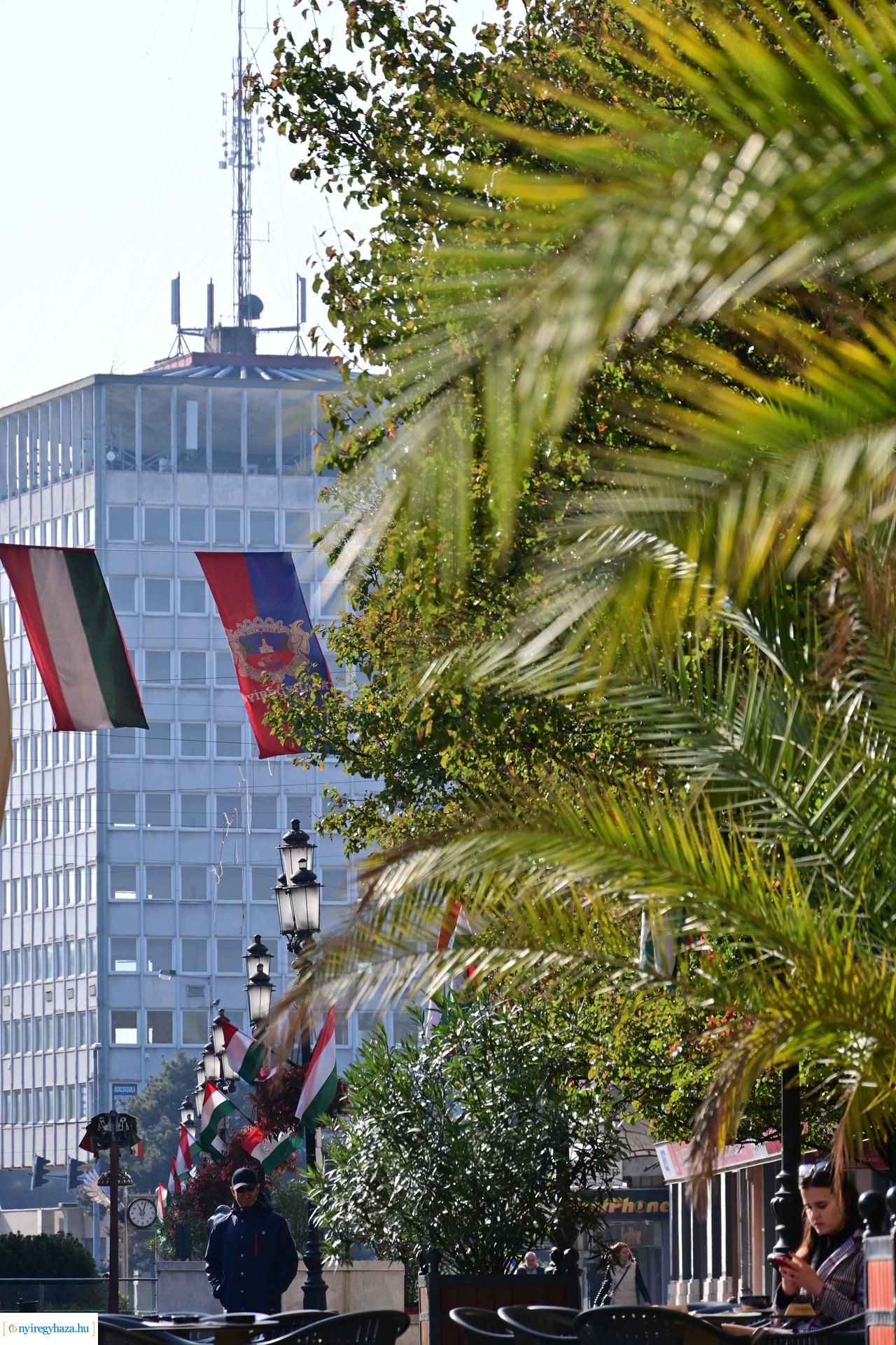 1956-ra emlékezünk  -  2024