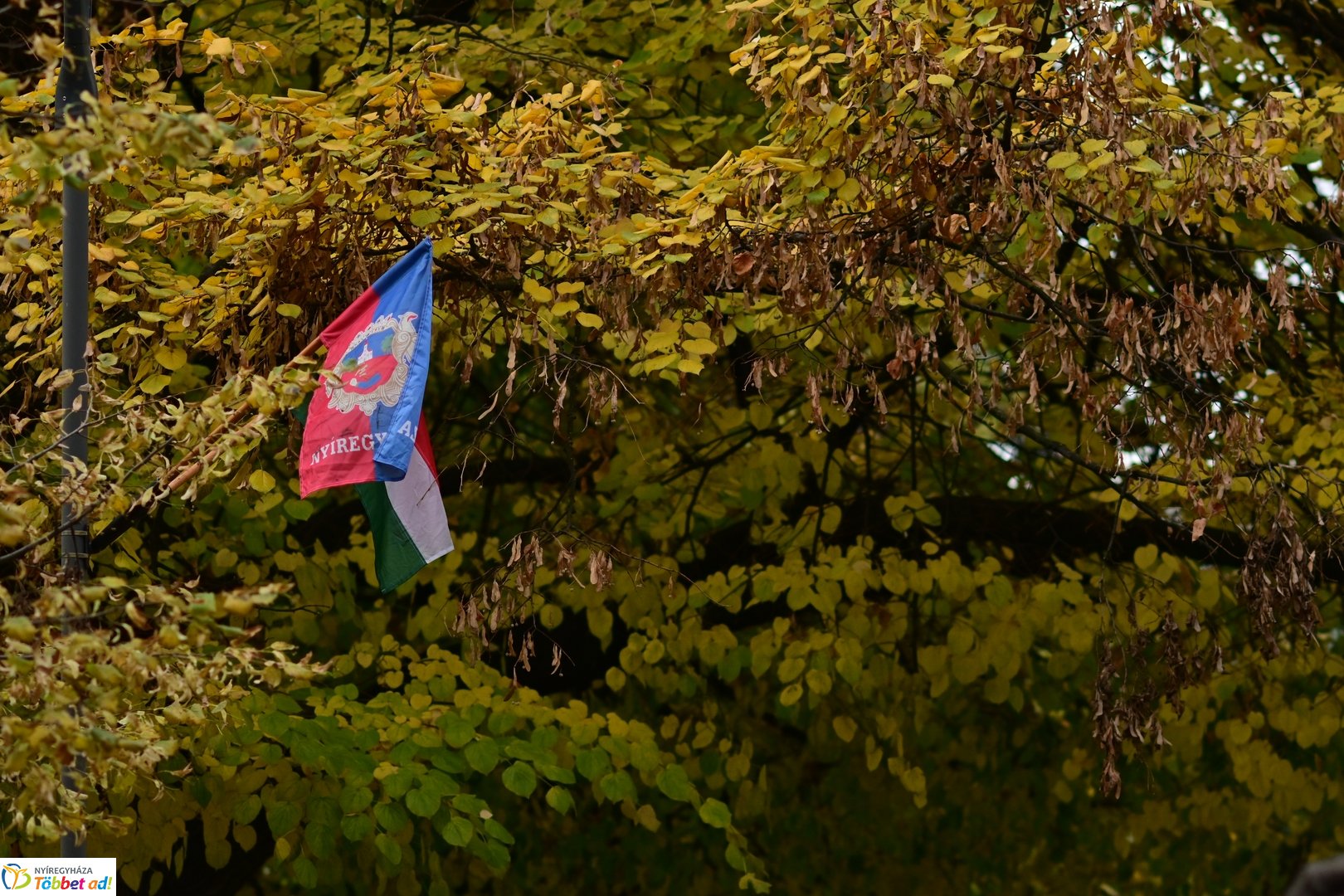 1956-ra emlékezünk - 2025