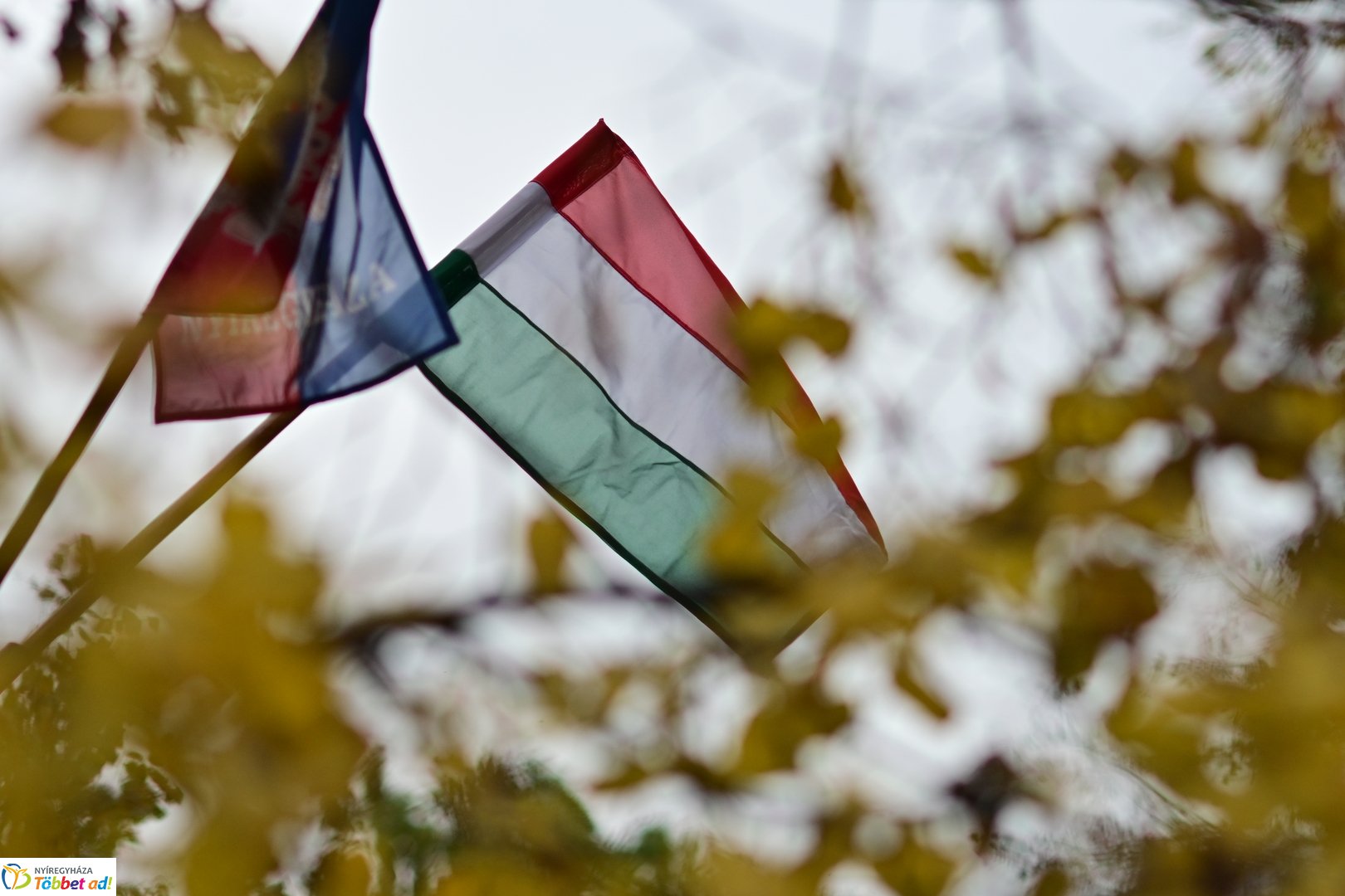 1956-ra emlékezünk - 2025