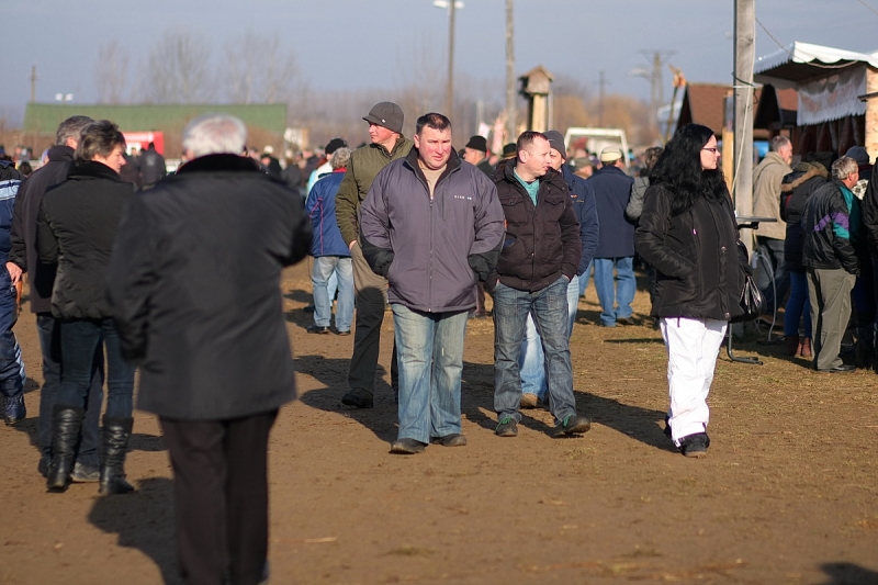 Böllérverseny Napkoron