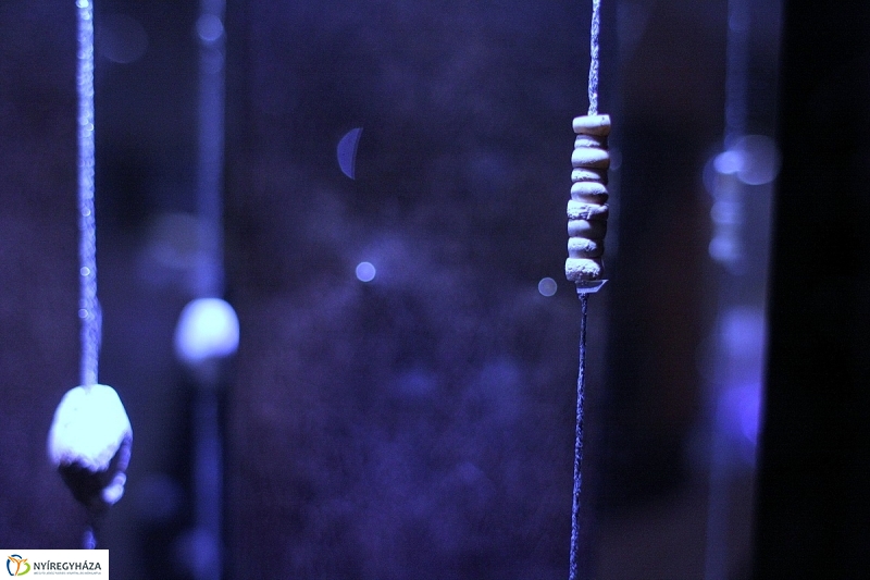 Mozgalmas év vár a Múzeumfalura