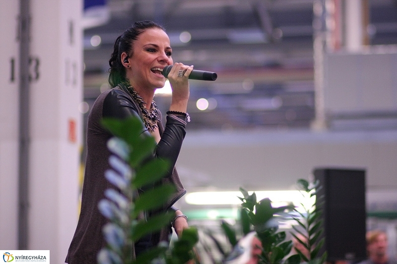 10 éves az Electrolux