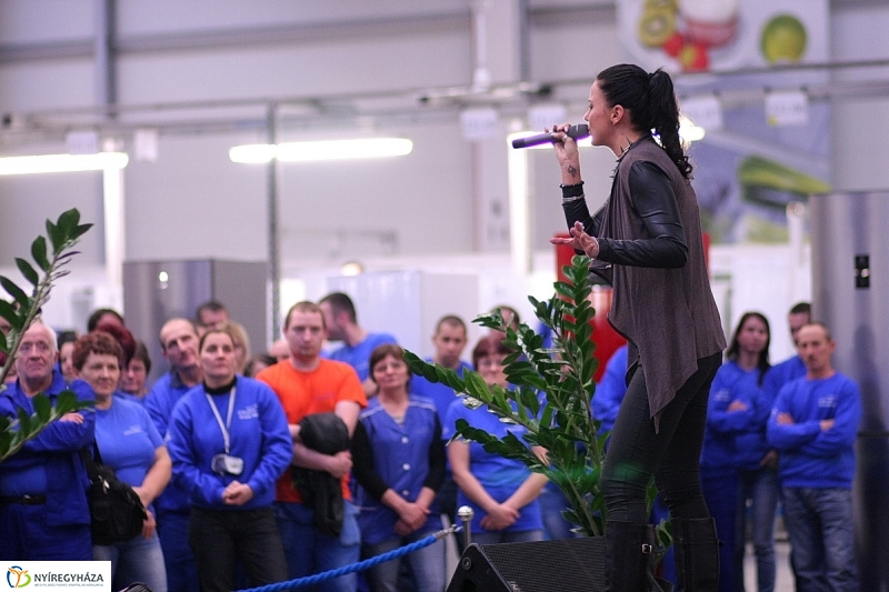 10 éves az Electrolux