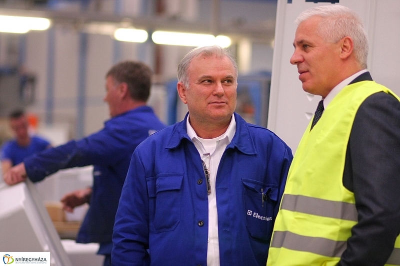 10 éves az Electrolux