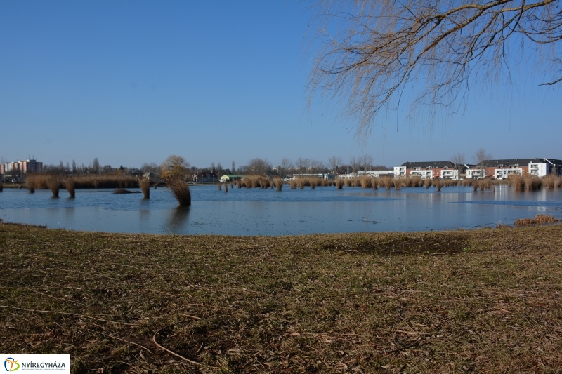 Füvesítési előkészületek a Bujtoson