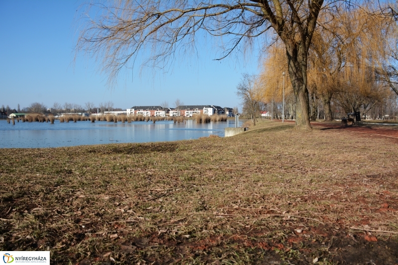 Füvesítési előkészületek a Bujtoson