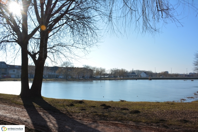 Füvesítési előkészületek a Bujtoson