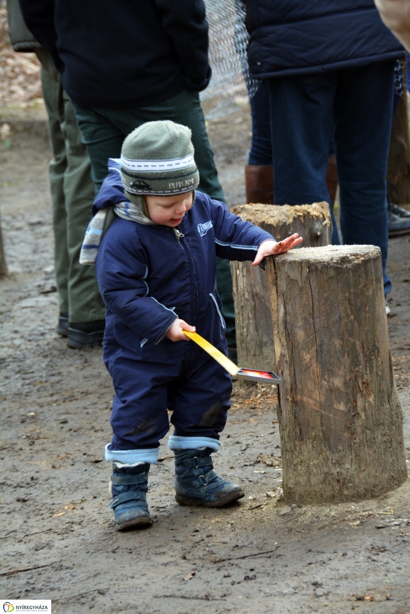 Madárodú készítés