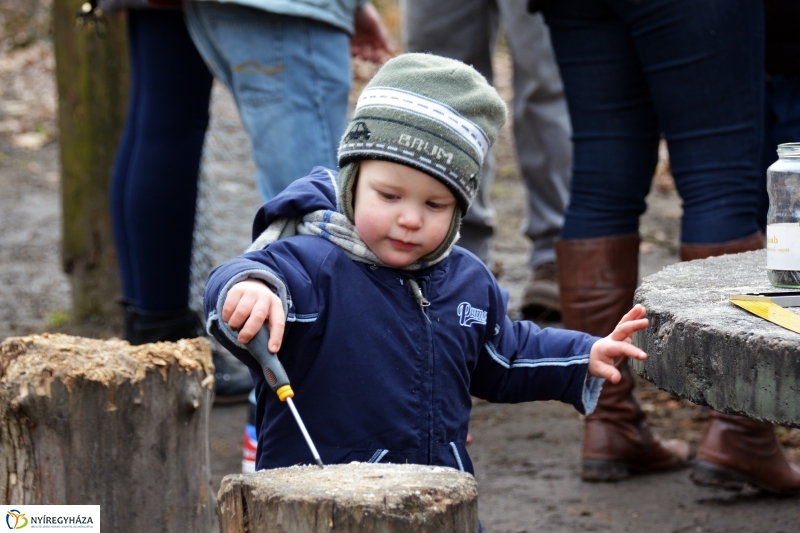 Madárodú készítés