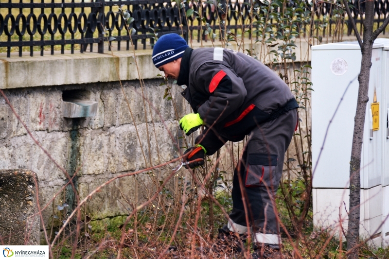 Metszés a Luther téren