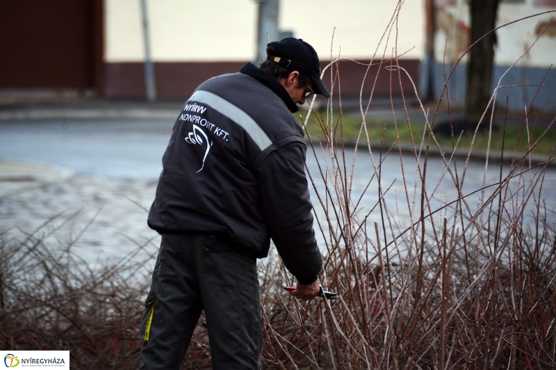 Metszés a Luther téren