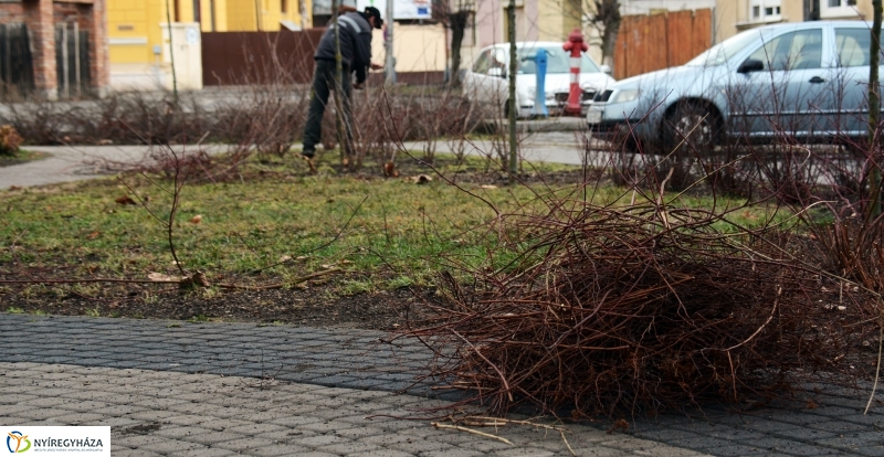Metszés a Luther téren