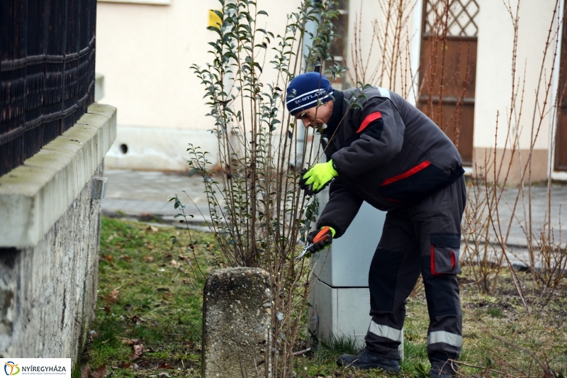 Metszés a Luther téren