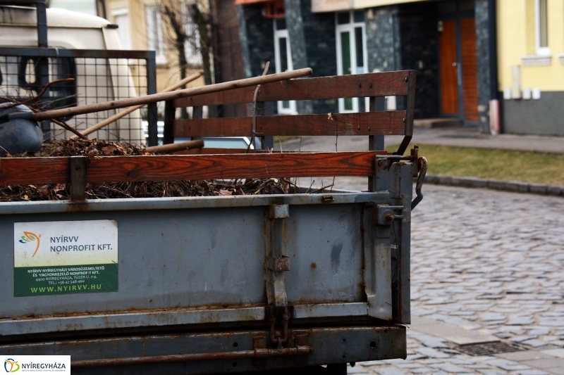 Metszés a Luther téren