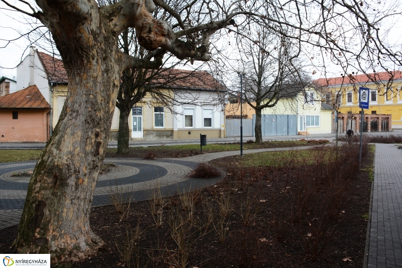 Metszés a Luther téren