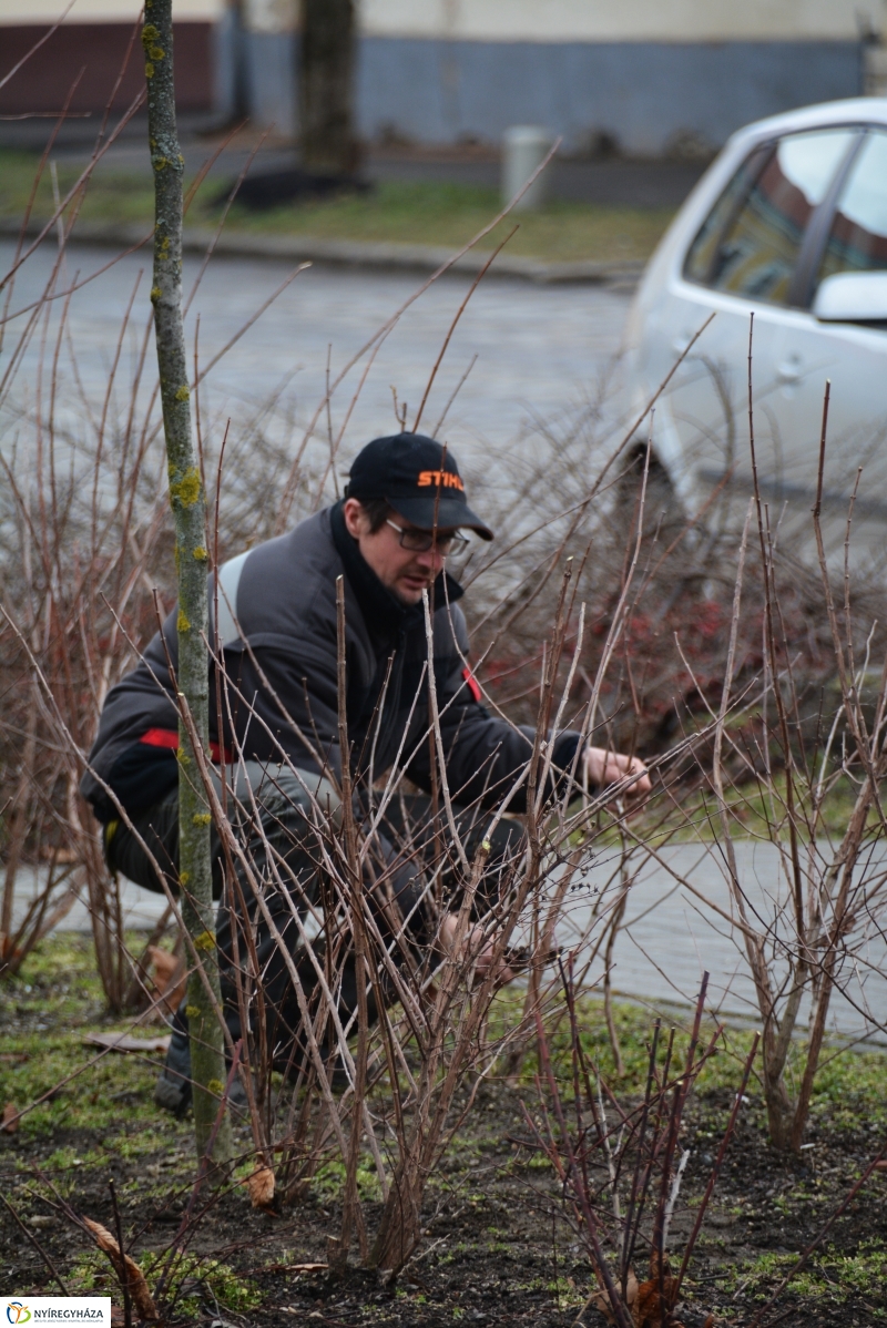 Metszés a Luther téren