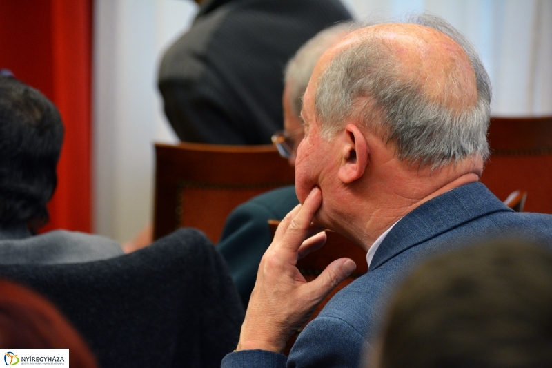 MOZAIKOK NYÍREGYHÁZA XX. SZÁZADI TÖRTÉNELMÉBŐL