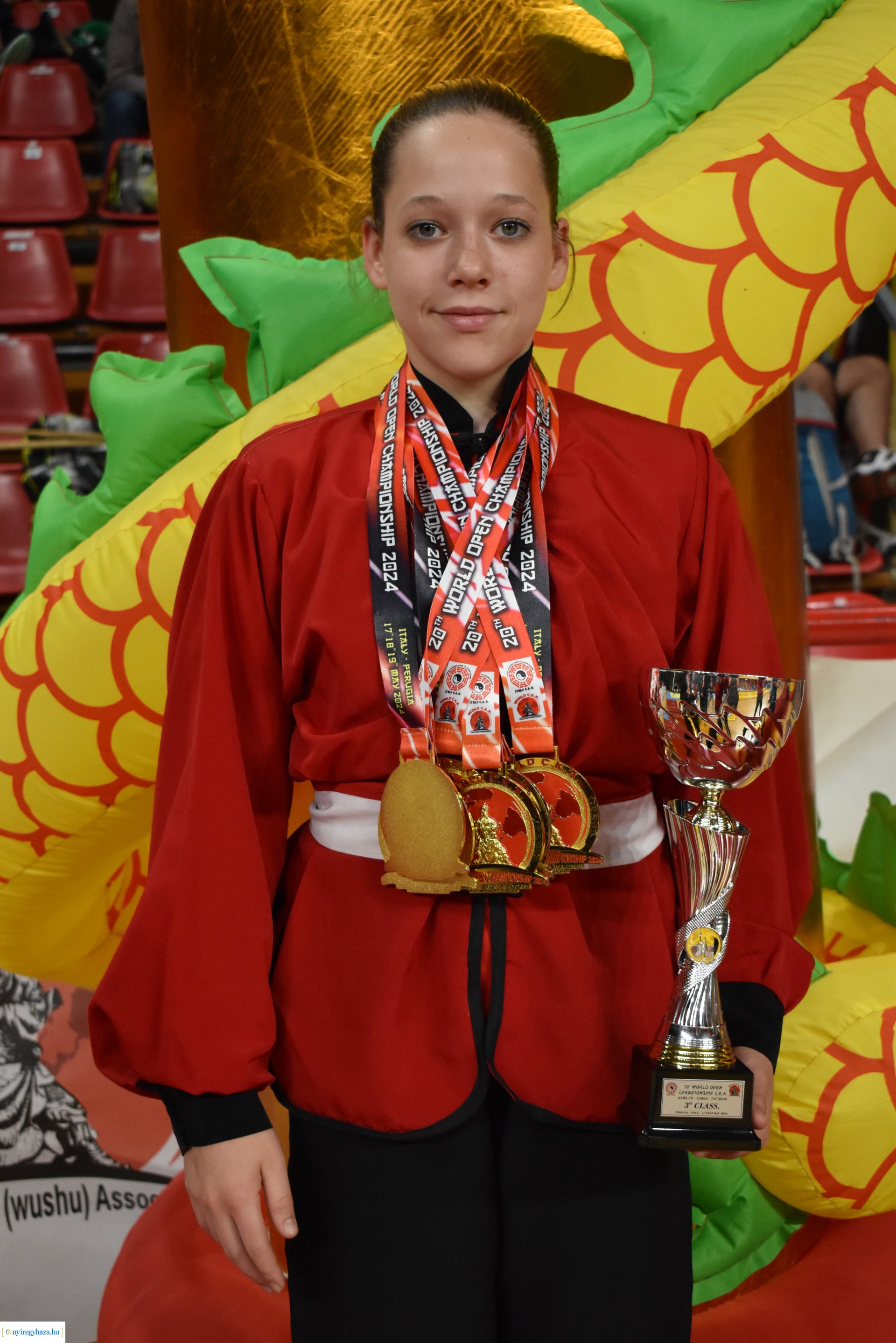 20th World Open Championship