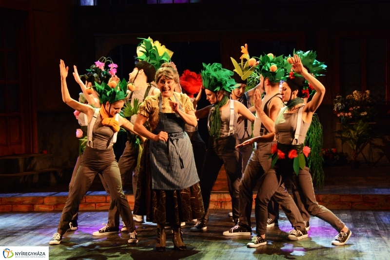 Égig Érő Fű című színdarab próba a VMKK-ban