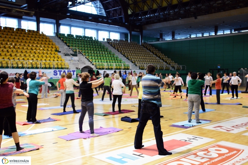 Fitt Felmérés a nyíregyházi Bujtosi Szabadidő Csarnokban
