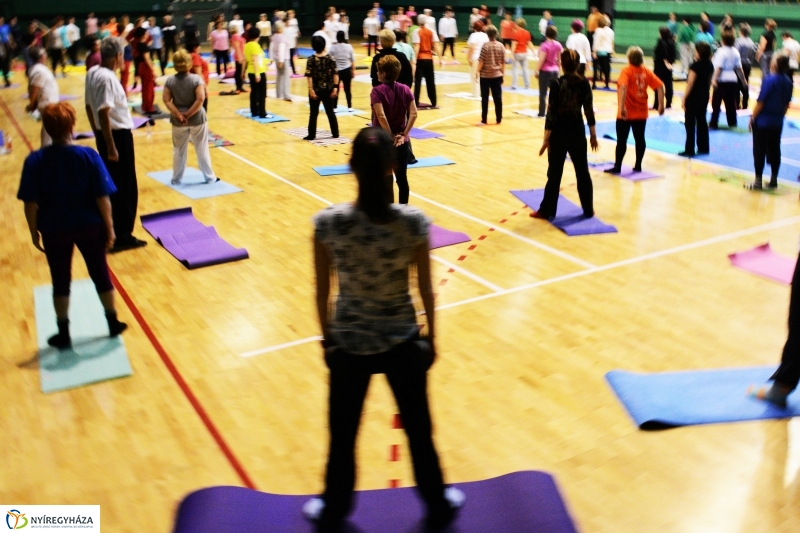 Fitt Felmérés a nyíregyházi Bujtosi Szabadidő Csarnokban