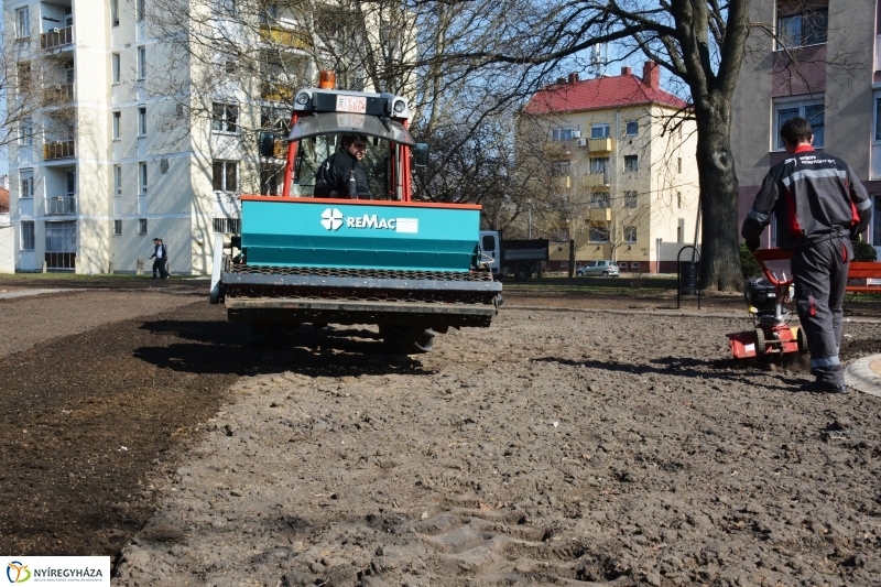 Füvesítés Nyíregyházán