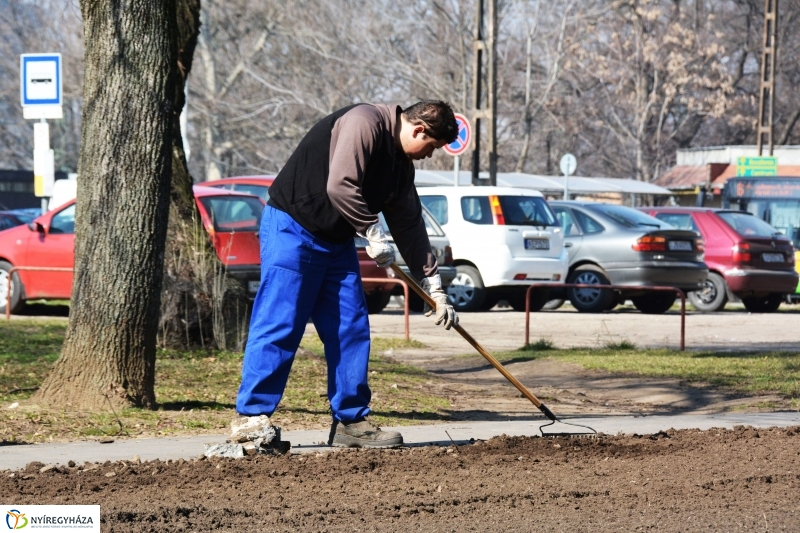 Füvesítés Nyíregyházán
