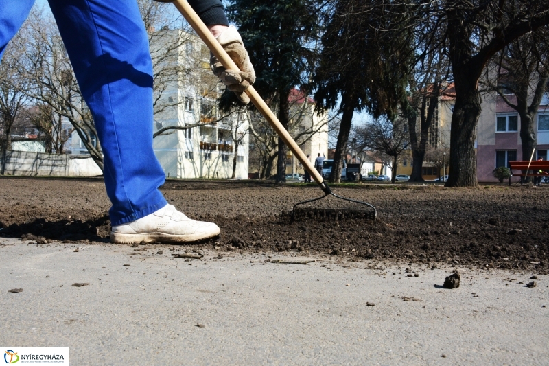 Füvesítés Nyíregyházán