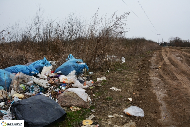 Illegális Hulladéklerakás Nyíregyházán