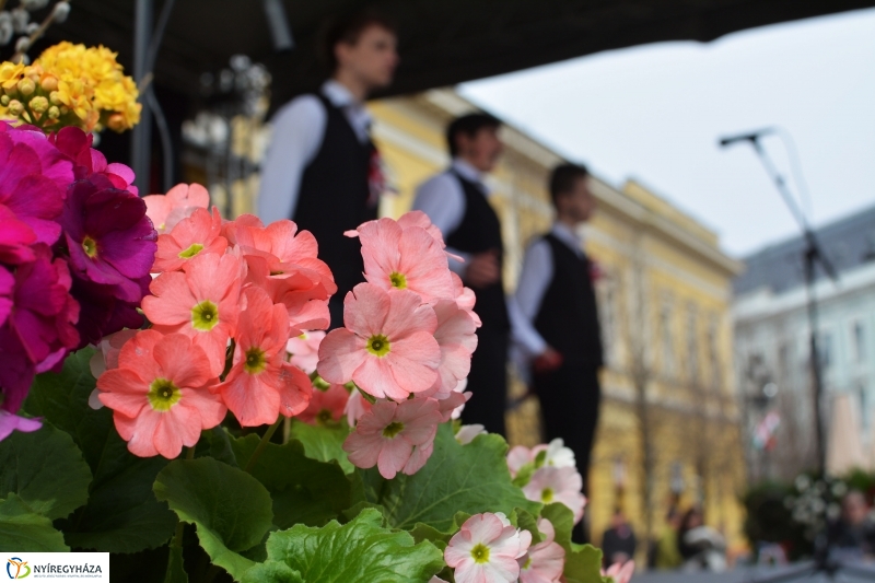 Március 15-i ünnepség a nyíregyházi Kossuth téren