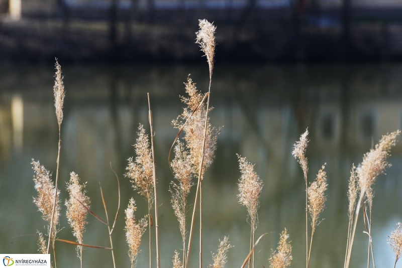 Tavaszváró Sóstón