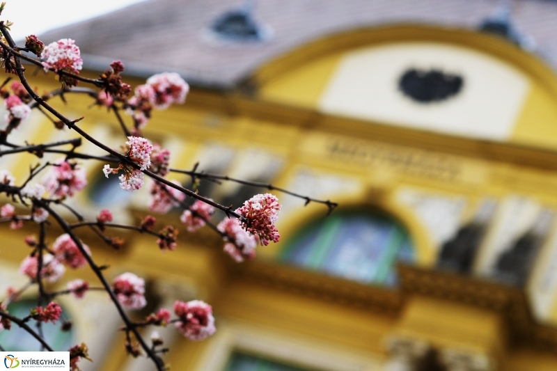 Március 15-e Nyíregyházán