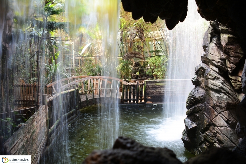 Indonéz Nagykövet a Nyíregyházi Állatparkban