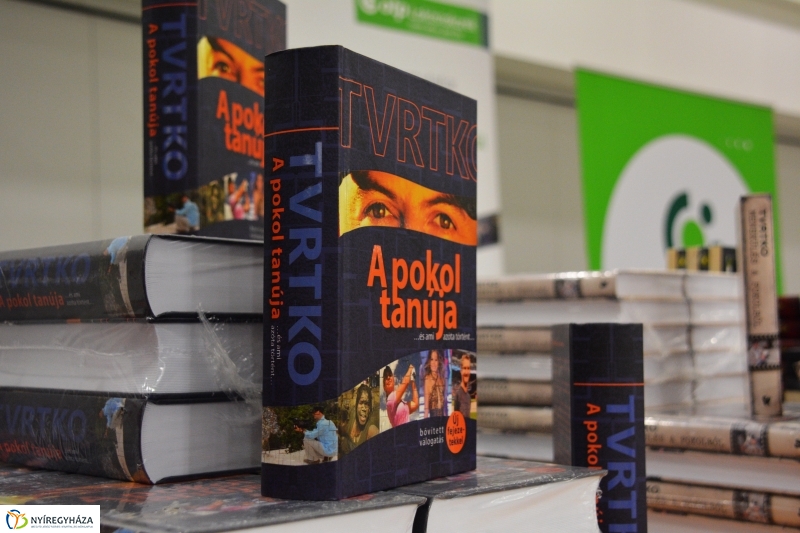 Vujity Tvrtko a Nyíregyházi VMKK-ban