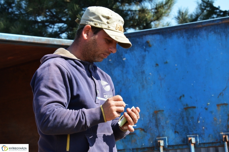 Hulladékért Virágot Akció Nyíregyházán