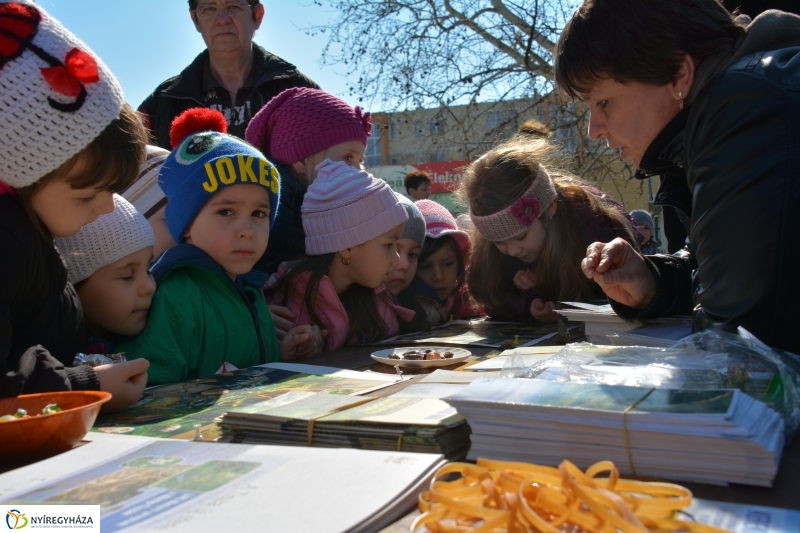 Víz Világnapja a Víztoronyban