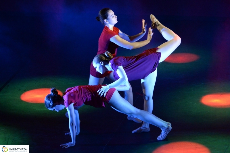 RE-Flex tavaszi táncest 2