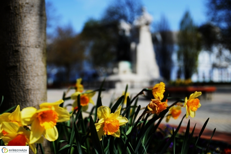 Tavaszi zsongás a belvárosban