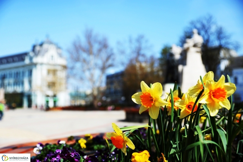 Tavaszi zsongás a belvárosban