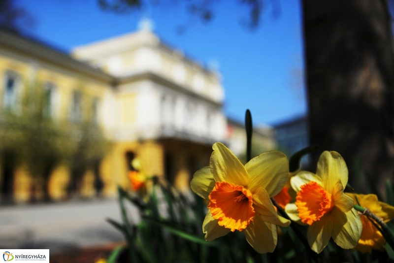 Tavaszi zsongás a belvárosban
