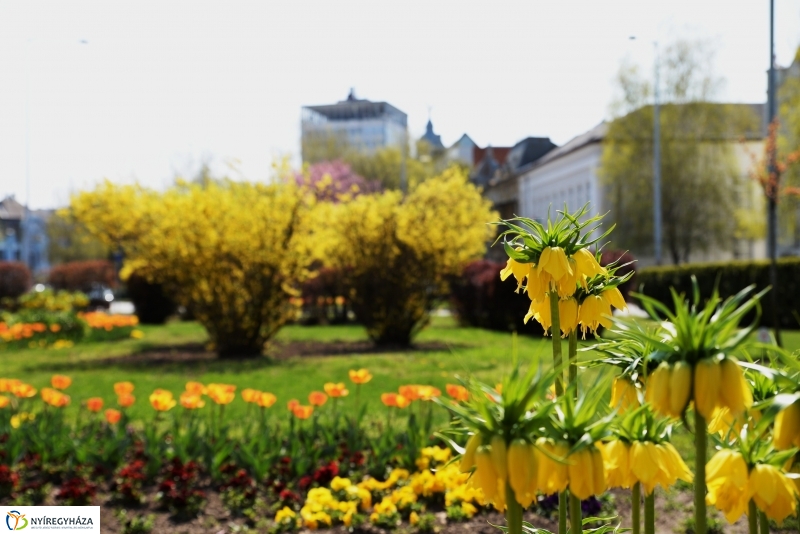 Tavaszi zsongás a belvárosban