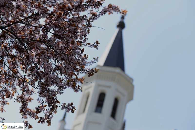 Tavaszi zsongás a belvárosban