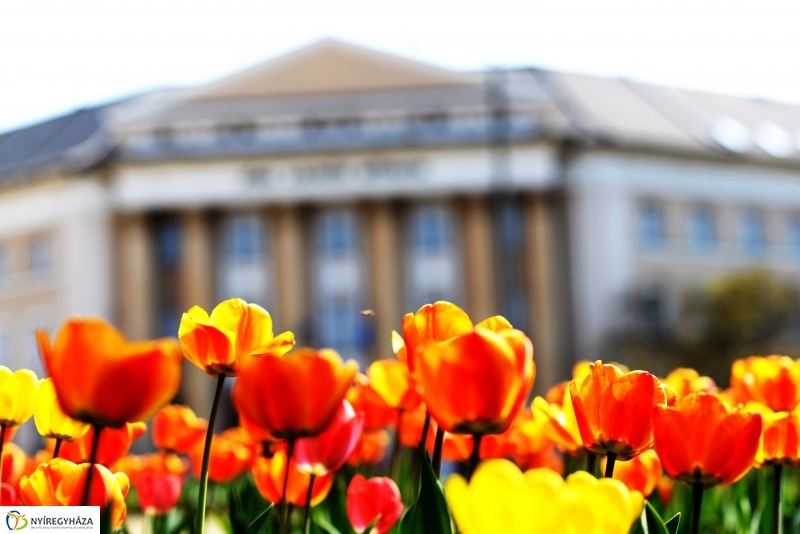 Tavaszi zsongás a belvárosban