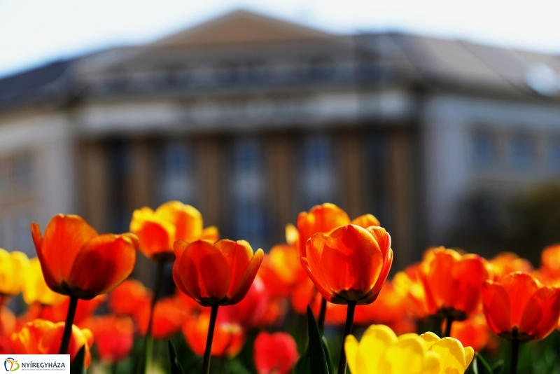 Tavaszi zsongás a belvárosban