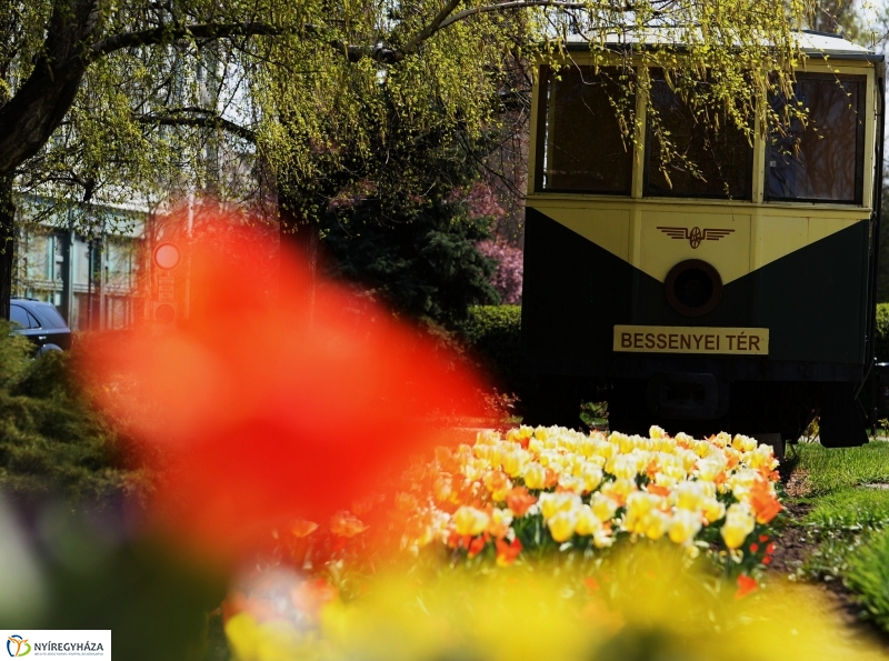 Tavaszi zsongás a belvárosban