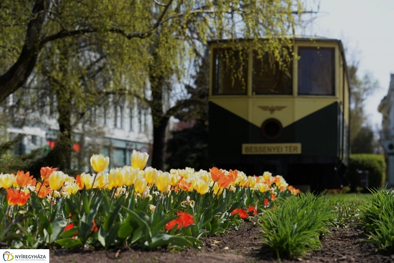 Tavaszi zsongás a belvárosban